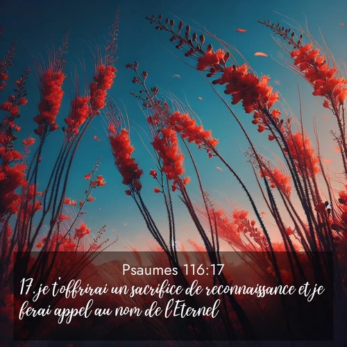 Segond21 Psaumes  ; image nature: image avec le verset biblique :je t&#039;offrirai un sacrifice de reconnaissance et je ferai appel au nom de l&#039;Eternel; ;  ; 116:17