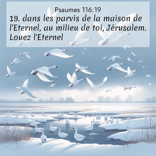 Segond21 Psaumes  ; image nature: image avec le verset biblique :dans les parvis de la maison de l&#039;Eternel, au milieu de toi, Jérusalem. Louez l&#039;Eternel! ;  ; 116:19