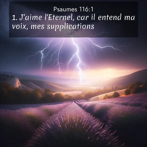 Segond21 Psaumes  ; image nature: image avec le verset biblique :J&#039;aime l&#039;Eternel, car il entend ma voix, mes supplications. ;  ; 116:1