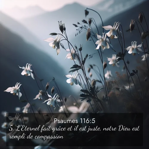 Segond21 Psaumes  ; image nature: image avec le verset biblique :L&#039;Eternel fait grâce et il est juste, notre Dieu est rempli de compassion. ;  ; 116:5