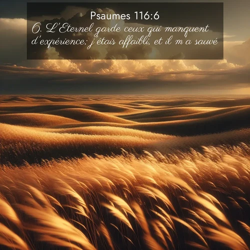 Segond21 Psaumes  ; image nature: image avec le verset biblique :L&#039;Eternel garde ceux qui manquent d&#039;expérience; j&#039;étais affaibli, et il m&#039;a sauvé. ;  ; 116:6