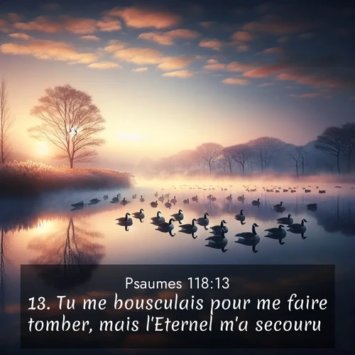 Segond21 Psaumes  ; image nature: image avec le verset biblique :Tu me bousculais pour me faire tomber, mais l&#039;Eternel m&#039;a secouru. ;  ; 118:13