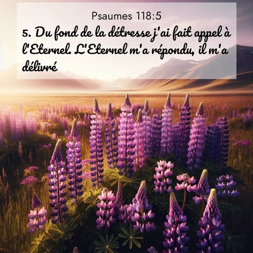 Segond21 Psaumes  ; image nature: image avec le verset biblique :Du fond de la détresse j&#039;ai fait appel à l&#039;Eternel. L&#039;Eternel m&#039;a répondu, il m&#039;a délivré. ;  ; 118:5
