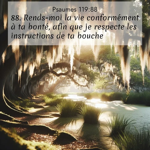 Segond21 Psaumes  ; image nature: image avec le verset biblique :Rends-moi la vie conformément à ta bonté, afin que je respecte les instructions de ta bouche! ;  ; 119:88