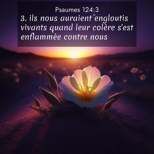 Segond21 Psaumes  ; image nature: image avec le verset biblique :ils nous auraient engloutis vivants quand leur colère s&#039;est enflammée contre nous. ;  ; 124:3