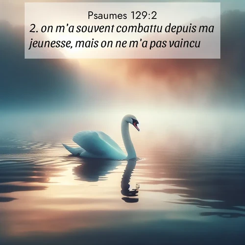 Segond21 Psaumes  ; image nature: image avec le verset biblique :on m&#039;a souvent combattu depuis ma jeunesse, mais on ne m&#039;a pas vaincu. ;  ; 129:2