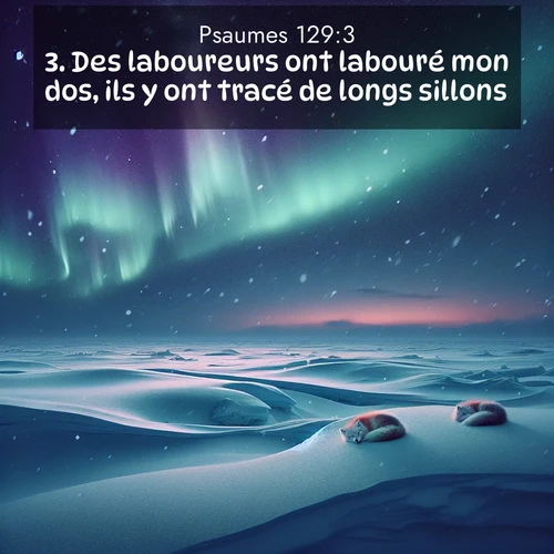 Segond21 Psaumes  ; image nature: image avec le verset biblique :Des laboureurs ont labouré mon dos, ils y ont tracé de longs sillons. ;  ; 129:3