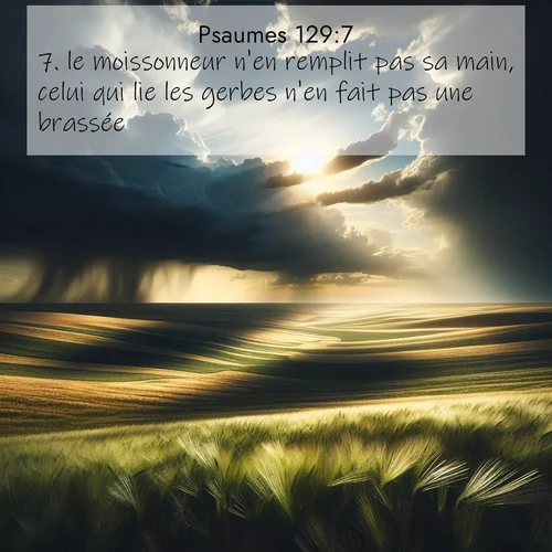 Segond21 Psaumes  ; image nature: image avec le verset biblique :le moissonneur n&#039;en remplit pas sa main, celui qui lie les gerbes n&#039;en fait pas une brassée ;  ; 129:7