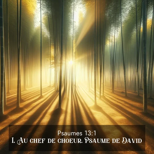 Segond21 Psaumes  ; image nature: image avec le verset biblique :Au chef de choeur. Psaume de David. ;  ; 13:1