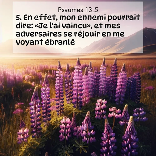 Segond21 Psaumes  ; image nature: image avec le verset biblique :En effet, mon ennemi pourrait dire: «Je l&#039;ai vaincu», et mes adversaires se réjouir en me voyant ébranlé. ;  ; 13:5