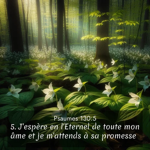 Segond21 Psaumes  ; image nature: image avec le verset biblique :J&#039;espère en l&#039;Eternel de toute mon âme et je m&#039;attends à sa promesse. ;  ; 130:5