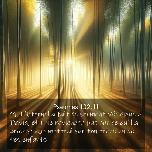 Segond21 Psaumes  ; image nature: image avec le verset biblique :L&#039;Eternel a fait ce serment véridique à David, et il ne reviendra pas sur ce qu&#039;il a promis: «Je mettrai sur ton trône un de tes enfants. ;  ; 132:11