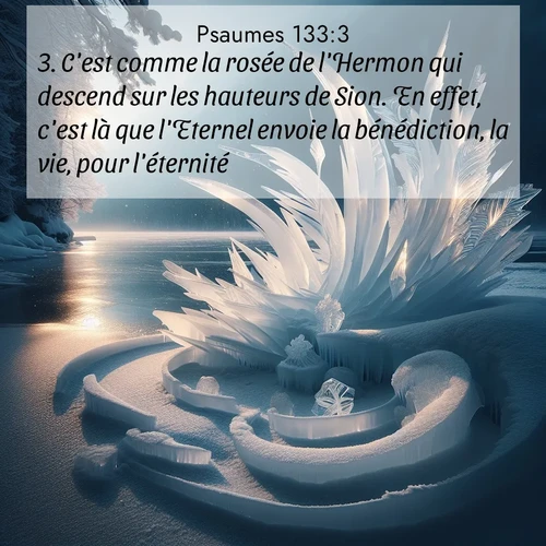 Segond21 Psaumes  ; image nature: image avec le verset biblique :C&#039;est comme la rosée de l&#039;Hermon qui descend sur les hauteurs de Sion. En effet, c&#039;est là que l&#039;Eternel envoie la bénédiction, la vie, pour l&#039;éternité. ;  ; 133:3