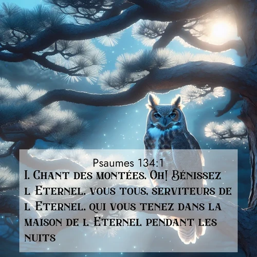 Segond21 Psaumes  ; image nature: image avec le verset biblique :Chant des montées. Oh! Bénissez l&#039;Eternel, vous tous, serviteurs de l&#039;Eternel, qui vous tenez dans la maison de l&#039;Eternel pendant les nuits! ;  ; 134:1