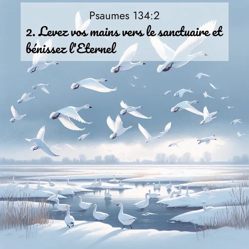 Segond21 Psaumes  ; image nature: image avec le verset biblique :Levez vos mains vers le sanctuaire et bénissez l&#039;Eternel! ;  ; 134:2