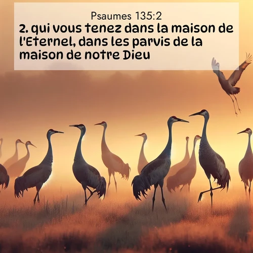 Segond21 Psaumes  ; image nature: image avec le verset biblique :qui vous tenez dans la maison de l&#039;Eternel, dans les parvis de la maison de notre Dieu! ;  ; 135:2