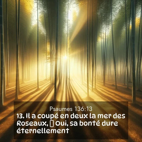 Segond21 Psaumes  ; image nature: image avec le verset biblique :Il a coupé en deux la mer des Roseaux,  Oui, sa bonté dure éternellement.  ;  ; 136:13