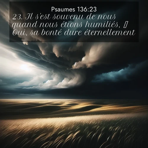 Segond21 Psaumes  ; image nature: image avec le verset biblique :Il s&#039;est souvenu de nous quand nous étions humiliés,  Oui, sa bonté dure éternellement.  ;  ; 136:23