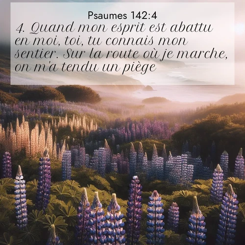 Segond21 Psaumes  ; image nature: image avec le verset biblique :Quand mon esprit est abattu en moi, toi, tu connais mon sentier. Sur la route où je marche, on m&#039;a tendu un piège. ;  ; 142:4