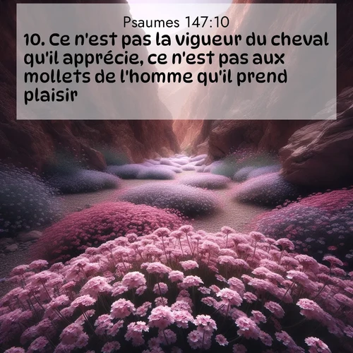 Segond21 Psaumes  ; image nature: image avec le verset biblique :Ce n&#039;est pas la vigueur du cheval qu&#039;il apprécie, ce n&#039;est pas aux mollets de l&#039;homme qu&#039;il prend plaisir: ;  ; 147:10