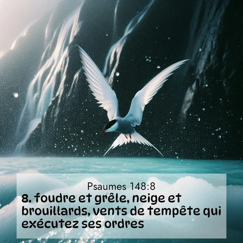 image nature avec verset biblique de la Bible
