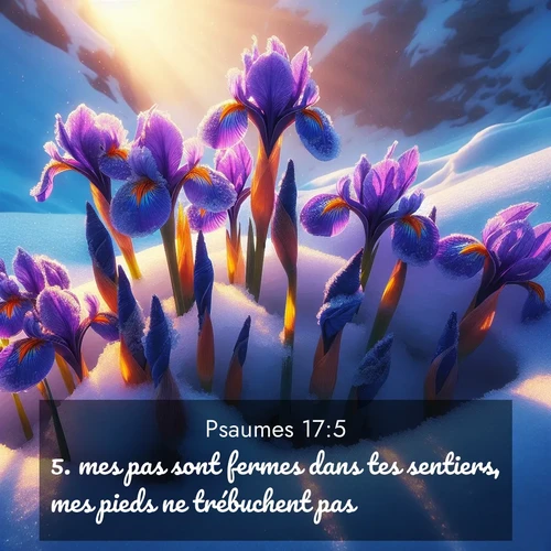 image nature avec verset biblique de la Bible