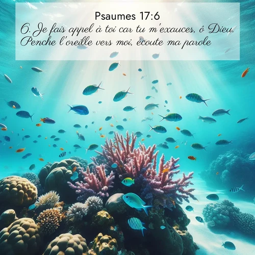 image nature avec verset biblique de la Bible