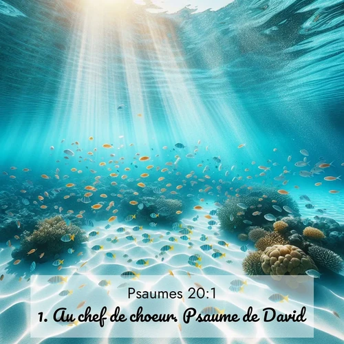 Segond21 Psaumes  ; image nature: image avec le verset biblique :Au chef de choeur. Psaume de David. ;  ; 20:1