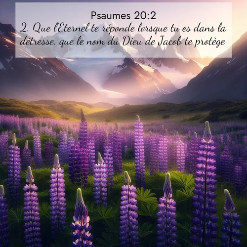 Segond21 Psaumes  ; image nature: image avec le verset biblique :Que l&#039;Eternel te réponde lorsque tu es dans la détresse, que le nom du Dieu de Jacob te protège! ;  ; 20:2