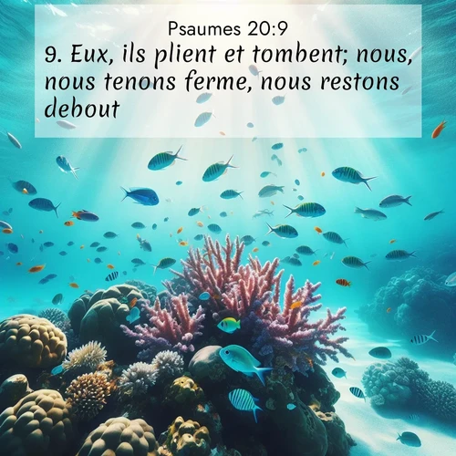 Segond21 Psaumes  ; image nature: image avec le verset biblique :Eux, ils plient et tombent; nous, nous tenons ferme, nous restons debout. ;  ; 20:9