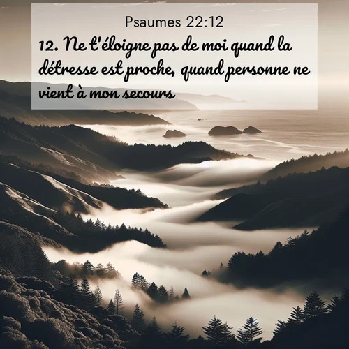 Segond21 Psaumes  ; image nature: image avec le verset biblique :Ne t&#039;éloigne pas de moi quand la détresse est proche, quand personne ne vient à mon secours! ;  ; 22:12