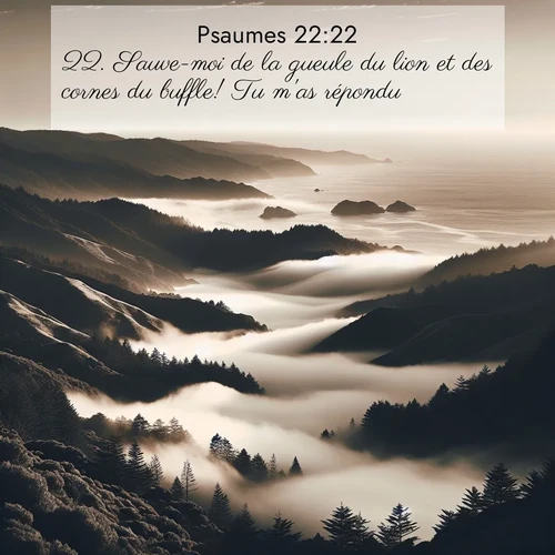 Segond21 Psaumes  ; image nature: image avec le verset biblique :Sauve-moi de la gueule du lion et des cornes du buffle! Tu m&#039;as répondu! ;  ; 22:22