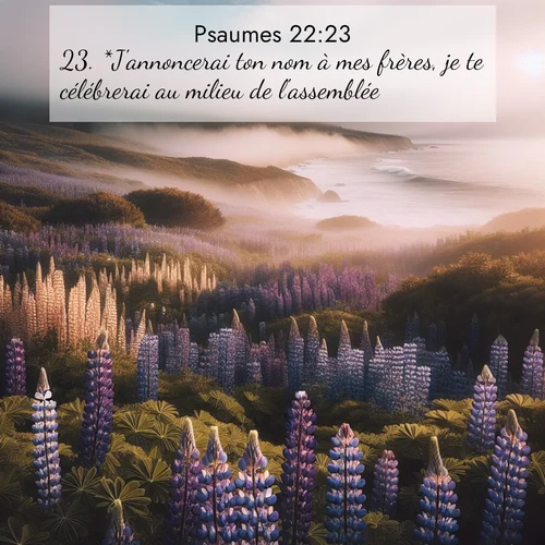 Segond21 Psaumes  ; image nature: image avec le verset biblique :*J&#039;annoncerai ton nom à mes frères, je te célébrerai au milieu de l&#039;assemblée. ;  ; 22:23