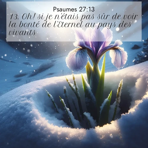 Segond21 Psaumes  ; image nature: image avec le verset biblique :Oh! si je n&#039;étais pas sûr de voir la bonté de l&#039;Eternel au pays des vivants ;  ; 27:13