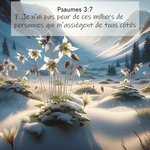 Segond21 Psaumes  ; image nature: image avec le verset biblique :Je n&#039;ai pas peur de ces milliers de personnes qui m&#039;assiègent de tous côtés. ;  ; 3:7