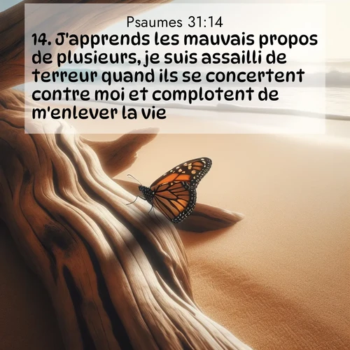 image nature avec verset biblique de la Bible