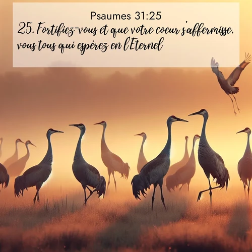 Segond21 Psaumes  ; image nature: image avec le verset biblique :Fortifiez-vous et que votre coeur s&#039;affermisse, vous tous qui espérez en l&#039;Eternel! ;  ; 31:25