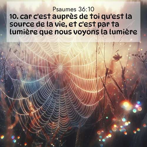 Segond21 Psaumes  ; image nature: image avec le verset biblique :car c&#039;est auprès de toi qu&#039;est la source de la vie, et c&#039;est par ta lumière que nous voyons la lumière. ;  ; 36:10