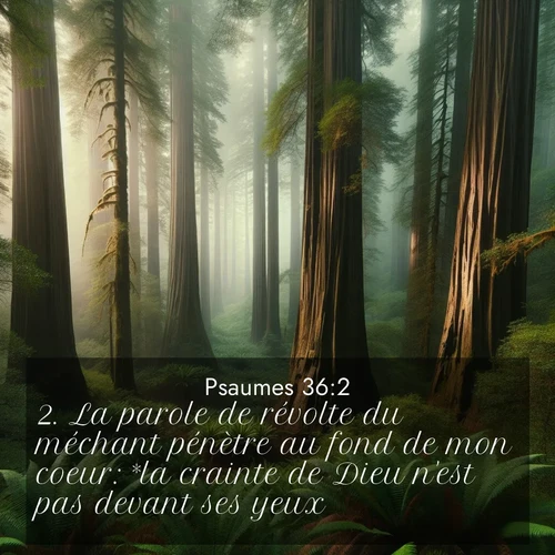 Segond21 Psaumes  ; image nature: image avec le verset biblique :La parole de révolte du méchant pénètre au fond de mon coeur: *la crainte de Dieu n&#039;est pas devant ses yeux, ;  ; 36:2