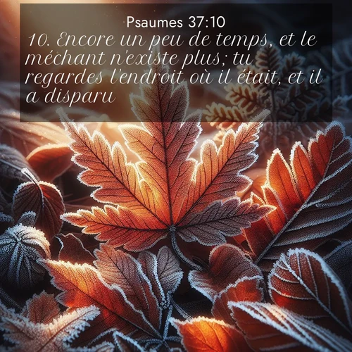 Segond21 Psaumes  ; image nature: image avec le verset biblique :Encore un peu de temps, et le méchant n&#039;existe plus; tu regardes l&#039;endroit où il était, et il a disparu. ;  ; 37:10