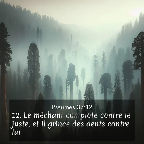 Segond21 Psaumes  ; image nature: image avec le verset biblique :Le méchant complote contre le juste, et il grince des dents contre lui, ;  ; 37:12