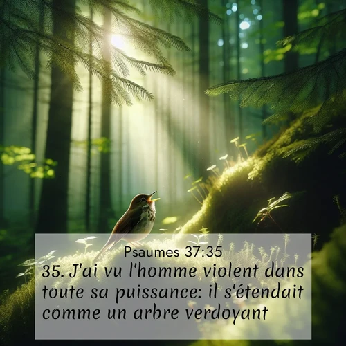 Segond21 Psaumes  ; image nature: image avec le verset biblique :J&#039;ai vu l&#039;homme violent dans toute sa puissance: il s&#039;étendait comme un arbre verdoyant, ;  ; 37:35
