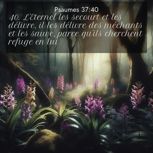 Segond21 Psaumes  ; image nature: image avec le verset biblique :L&#039;Eternel les secourt et les délivre, il les délivre des méchants et les sauve, parce qu&#039;ils cherchent refuge en lui. ;  ; 37:40