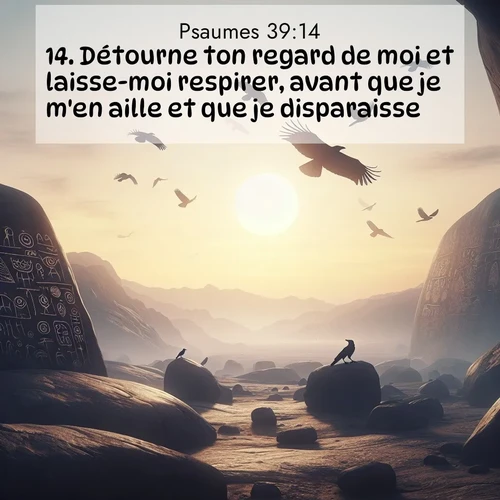 Segond21 Psaumes  ; image nature: image avec le verset biblique :Détourne ton regard de moi et laisse-moi respirer, avant que je m&#039;en aille et que je disparaisse! ;  ; 39:14