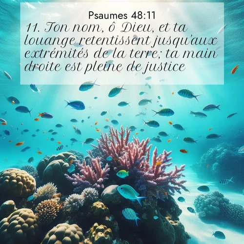 Segond21 Psaumes  ; image nature: image avec le verset biblique :Ton nom, ô Dieu, et ta louange retentissent jusqu&#039;aux extrémités de la terre; ta main droite est pleine de justice. ;  ; 48:11
