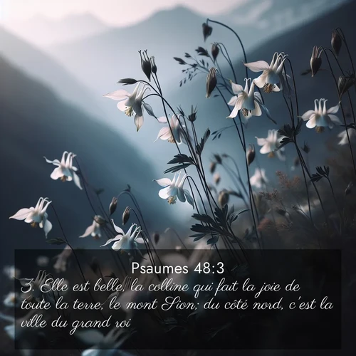 Segond21 Psaumes  ; image nature: image avec le verset biblique :Elle est belle, la colline qui fait la joie de toute la terre, le mont Sion; du côté nord, c&#039;est la ville du grand roi. ;  ; 48:3