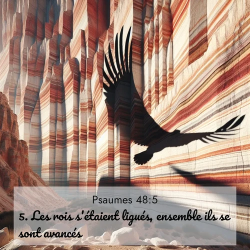 Segond21 Psaumes  ; image nature: image avec le verset biblique :Les rois s&#039;étaient ligués, ensemble ils se sont avancés. ;  ; 48:5