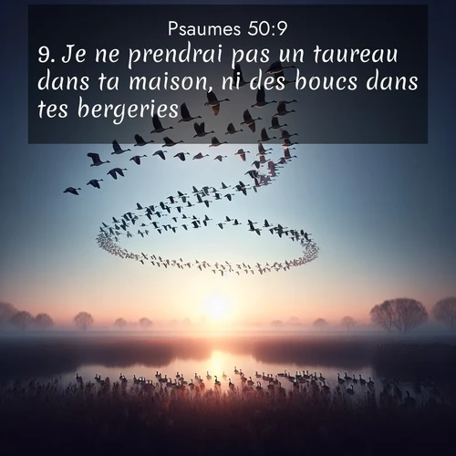 Segond21 Psaumes  ; image nature: image avec le verset biblique :Je ne prendrai pas un taureau dans ta maison, ni des boucs dans tes bergeries, ;  ; 50:9