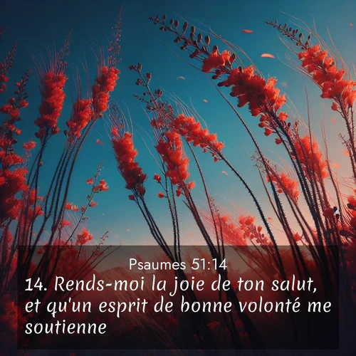 Segond21 Psaumes  ; image nature: image avec le verset biblique :Rends-moi la joie de ton salut, et qu&#039;un esprit de bonne volonté me soutienne! ;  ; 51:14