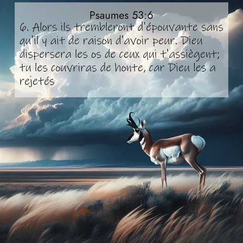 image nature avec verset biblique de la Bible
